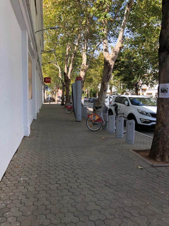 Apartamento 1 Dormitorio Y Salon Con Sofa Cama Bien Comunicado Con El Centro Sevilla Buitenkant foto